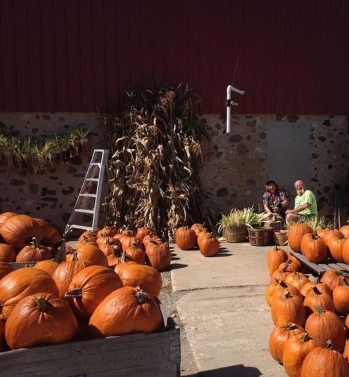 Orange pumpkins piled in wooden crates at a farm stand